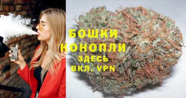 прущие грибы Касимов