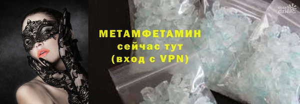 прущие грибы Касимов