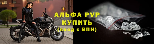 прущие грибы Касимов