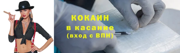 прущие грибы Касимов