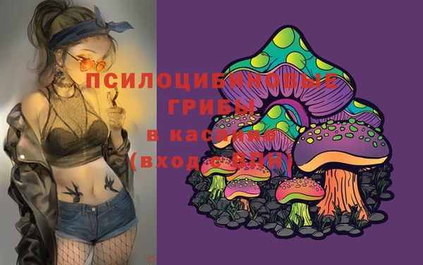прущие грибы Касимов