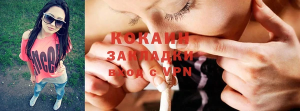 прущие грибы Касимов